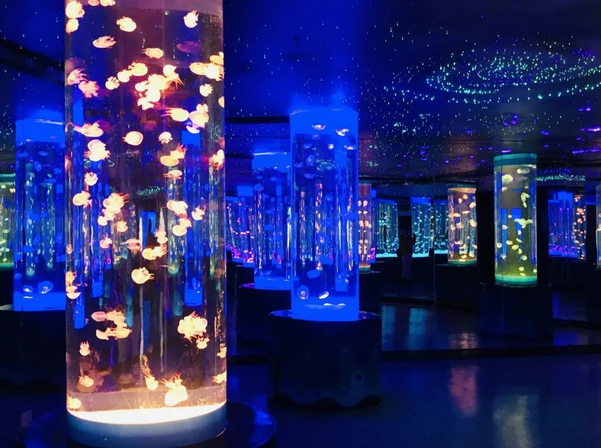 /uploads/image/2025/10/28/d7692288b14417818e9f09a9c2856841.png /uploads/image/2025/10/28/d7692288b14417818e9f09a9c2856841.png