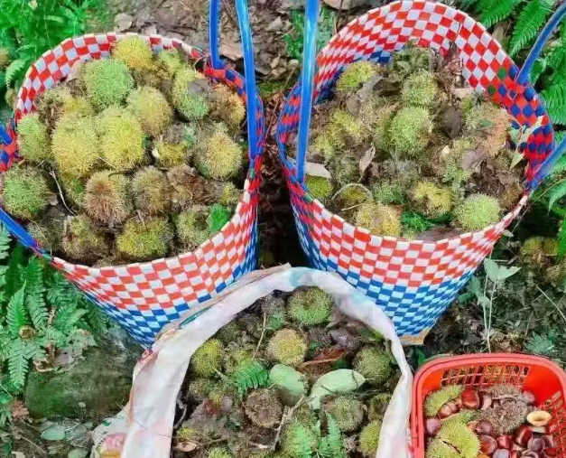 /uploads/image/2025/10/28/1067e52c31e4df667c3e71cd58eb62eb.png /uploads/image/2025/10/28/1067e52c31e4df667c3e71cd58eb62eb.png