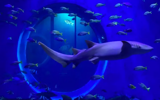 /uploads/image/2025/10/28/99e9a9ffa850c3e1c93d7075ad563977.png /uploads/image/2025/10/28/99e9a9ffa850c3e1c93d7075ad563977.png