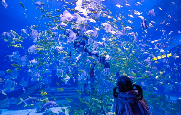 /uploads/image/2025/10/28/d01f4e6199d8ab1e631b4b4e24fa687a.png /uploads/image/2025/10/28/d01f4e6199d8ab1e631b4b4e24fa687a.png