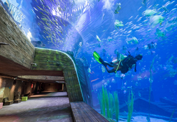 /uploads/image/2025/10/28/a7b305be0f52b160e7571698580560ca.png /uploads/image/2025/10/28/a7b305be0f52b160e7571698580560ca.png