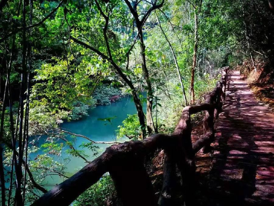 南宁凤凰谷景区