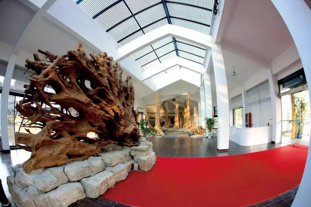 古木博物馆 古木博物馆