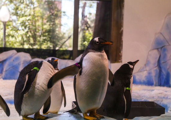 /uploads/image/2025/10/28/ccefbf587e3a4931836c4e910c67ffd8.png /uploads/image/2025/10/28/ccefbf587e3a4931836c4e910c67ffd8.png