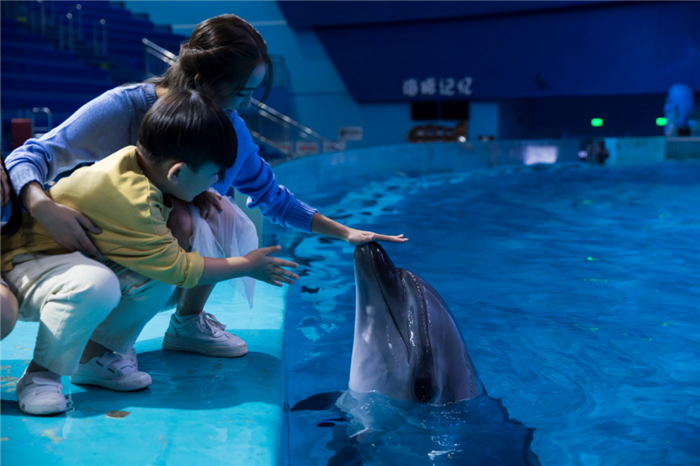 /uploads/image/2025/10/28/9f3b8e81eab344bd23317ffb2e43de35.png /uploads/image/2025/10/28/9f3b8e81eab344bd23317ffb2e43de35.png