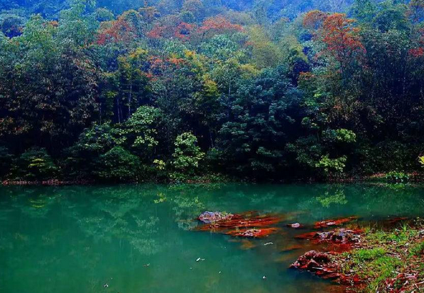 /uploads/image/2025/10/28/99abbd5c46b7a0bbb70eb8bcb142f570.png /uploads/image/2025/10/28/99abbd5c46b7a0bbb70eb8bcb142f570.png