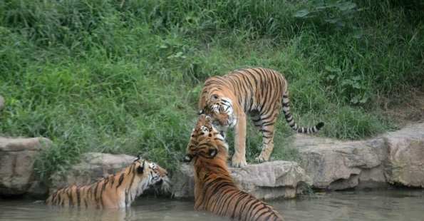 扬州茱萸湾风景区