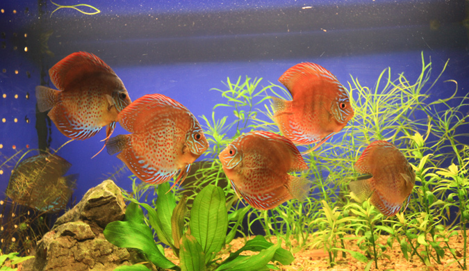 /uploads/image/2025/10/29/9159172b9f6f24ea3021c4d024fac948.jpg /uploads/image/2025/10/29/9159172b9f6f24ea3021c4d024fac948.jpg