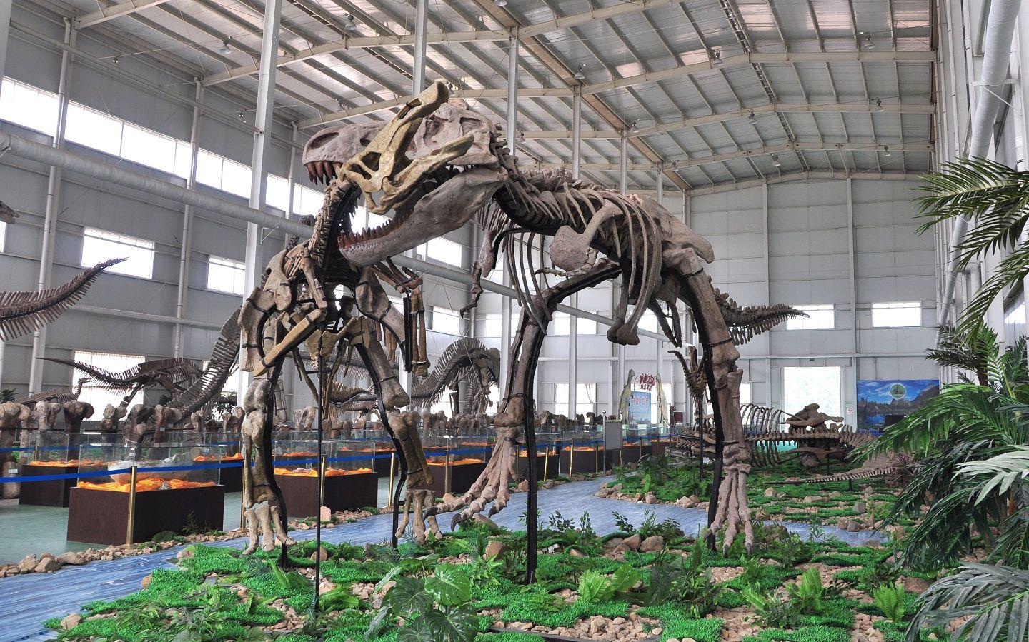 西峡恐龙遗迹园 西峡恐龙遗迹园