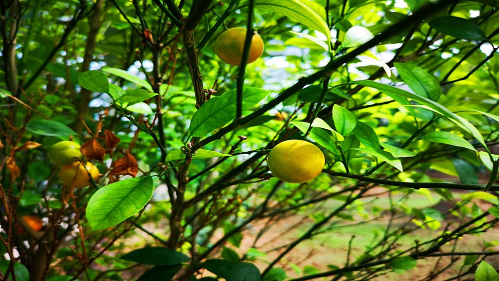 /uploads/image/2025/10/29/62ffda493380229902494095d5169ec8.jpg /uploads/image/2025/10/29/62ffda493380229902494095d5169ec8.jpg