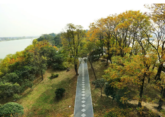 /uploads/image/2025/10/29/aae33926eda7103d0a76df5d943529d2.png /uploads/image/2025/10/29/aae33926eda7103d0a76df5d943529d2.png