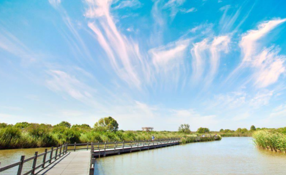 /uploads/image/2025/10/29/adb68ee15c236d39cc8ab3f2f74351af.png /uploads/image/2025/10/29/adb68ee15c236d39cc8ab3f2f74351af.png