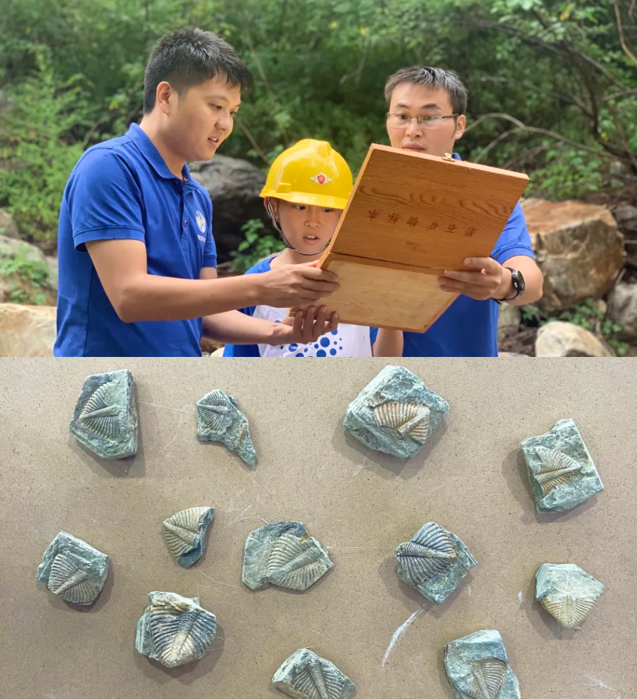 /uploads/image/2025/10/29/833d6605555348e39a192c510c17d59e.png image.png