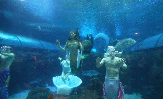长沙海底世界