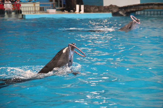 /uploads/image/2025/10/29/012bd5865cc1bbb591d7b96720ac24e8.jpg /uploads/image/2025/10/29/012bd5865cc1bbb591d7b96720ac24e8.jpg