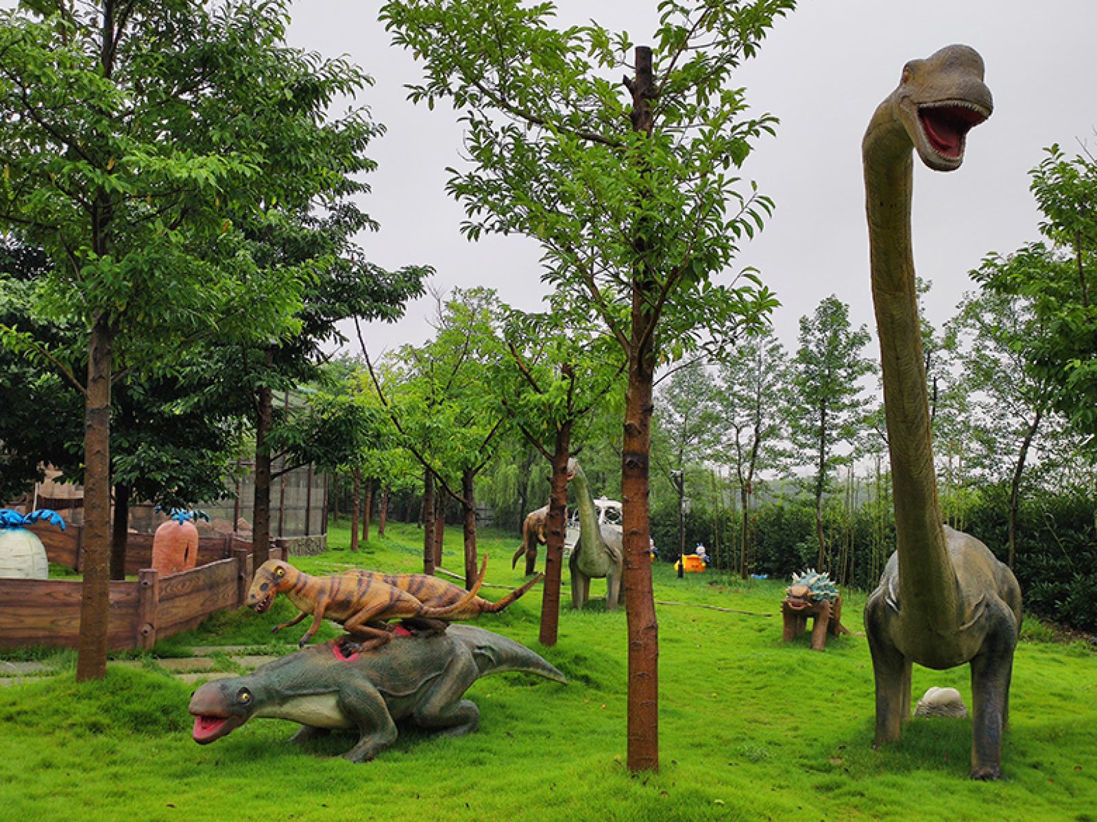 镜湖湿地动物王国 镜湖湿地动物王国