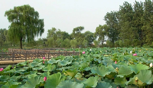 /uploads/image/2025/10/29/d1d12c3d6e29369d7d8688a8c2cf629d.png /uploads/image/2025/10/29/d1d12c3d6e29369d7d8688a8c2cf629d.png