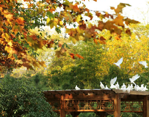 /uploads/image/2025/10/29/103b6308f81648a8618782eeb7aee2b1.png /uploads/image/2025/10/29/103b6308f81648a8618782eeb7aee2b1.png