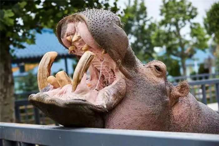 /uploads/image/2025/10/30/ee77780ef68ad0002c55907da7a9a0ba.jpg ebf3c81c35b1b5355217f289e5ccb647.jpg