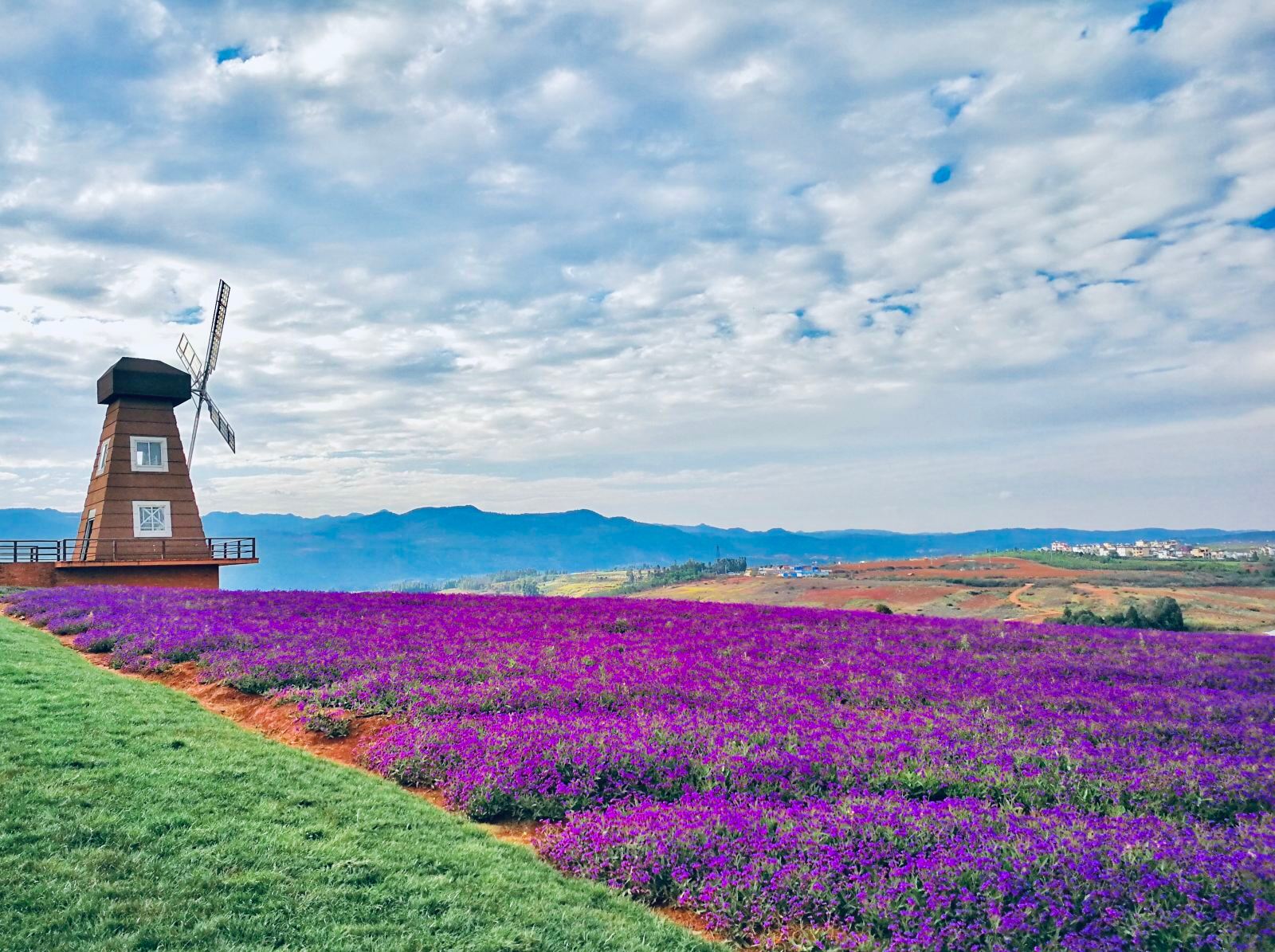 /uploads/image/2025/10/30/797816b3b515f2c499f75a7ec1800657.jpg /uploads/image/2025/10/30/797816b3b515f2c499f75a7ec1800657.jpg