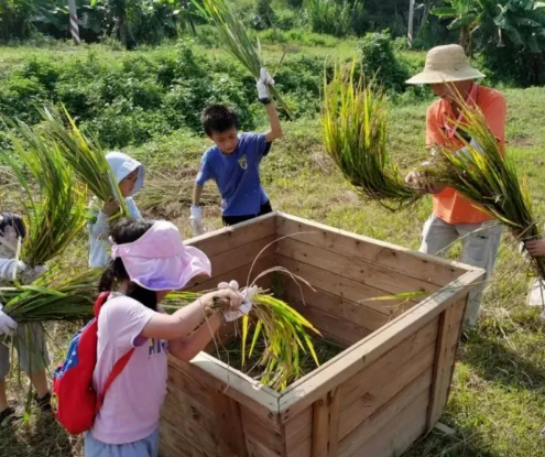 东莞耕山小寨 东莞耕山小寨