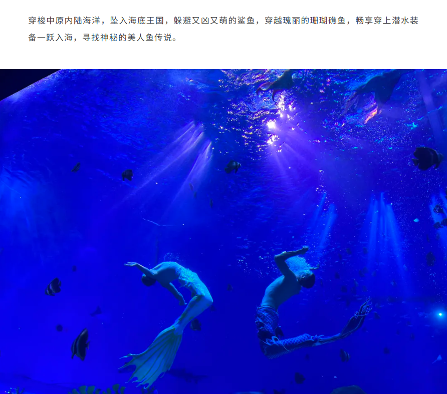 /uploads/image/2025/10/30/5c0a239d1d709aa38188710a17c84a9e.png image.png