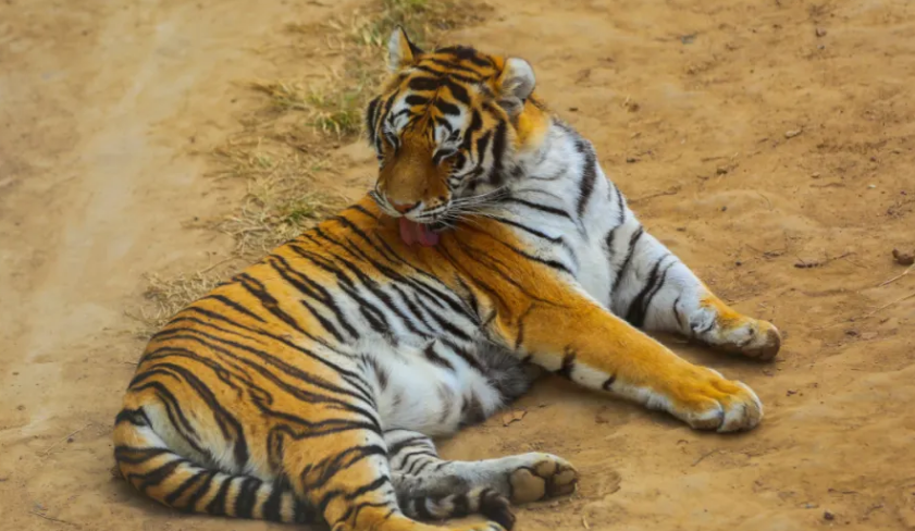 烟台龙口动植物园