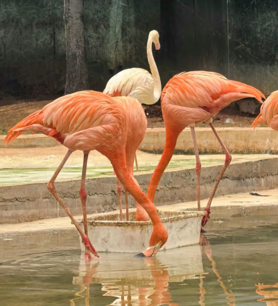 /uploads/image/2025/10/30/a1d7afe9dad3d0fe4594570bc727fc7c.png /uploads/image/2025/10/30/a1d7afe9dad3d0fe4594570bc727fc7c.png