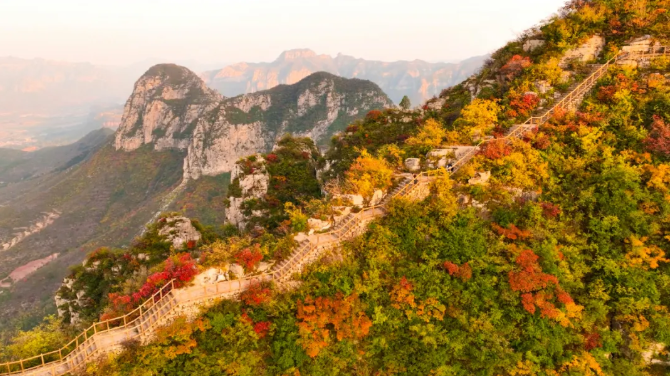 /uploads/image/2025/10/30/9e079be0921adfc4a090937a0c314ad5.png 图片.png