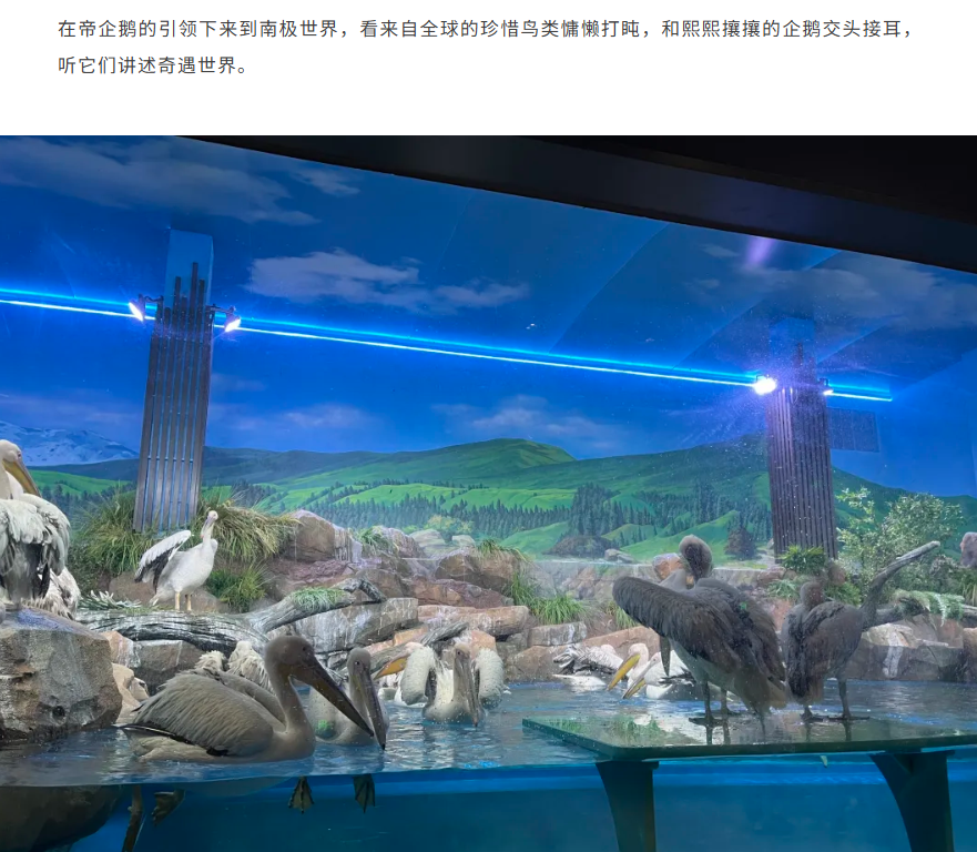 /uploads/image/2025/10/30/a4c404cc05f461e4091e4e9e7dc63d2c.png image.png