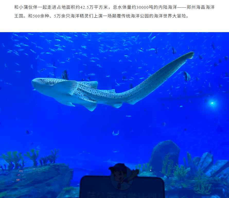 /uploads/image/2025/10/30/ade26c8fdc5be745f87848d10264f902.png image.png