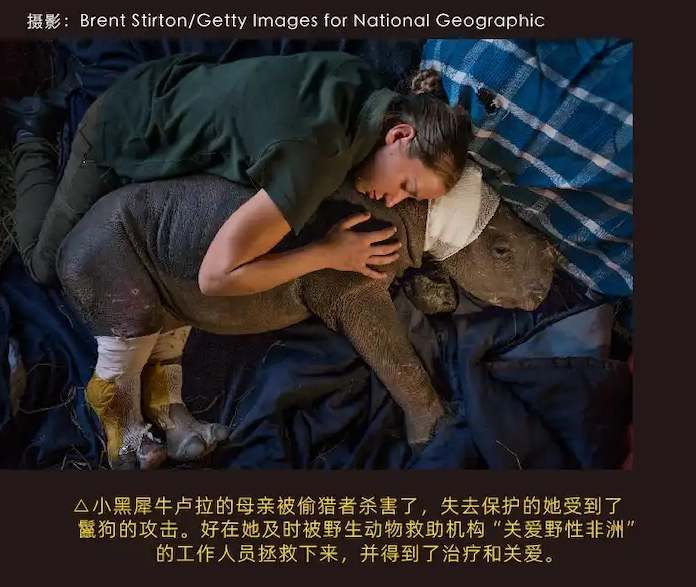 昆明国家地理影像大展 昆明国家地理影像大展