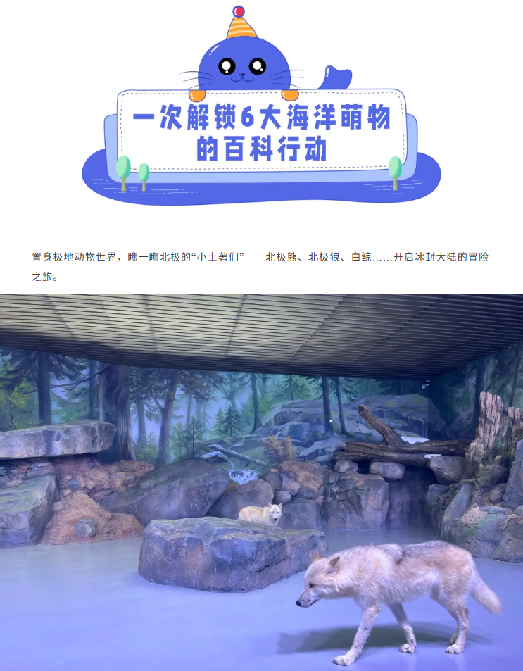 /uploads/image/2025/10/30/d1c1524140427e930a9b320adfb46fdc.png image.png