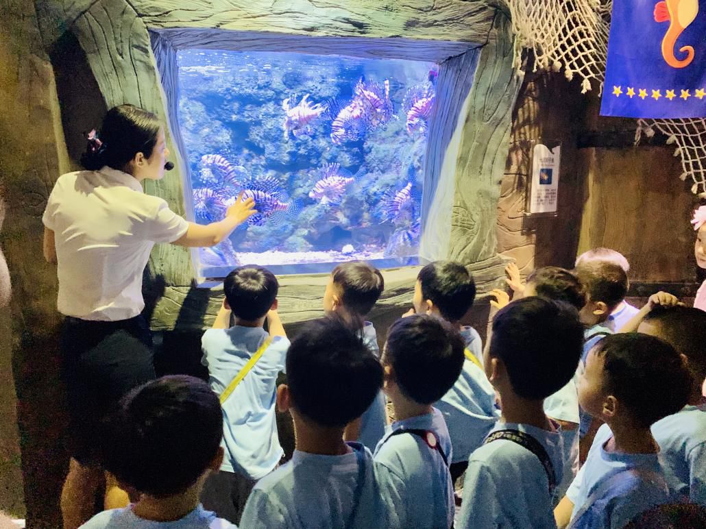 /uploads/image/2025/10/31/5cc39d451123f3dfecf9560746fdeb93.jpg /uploads/image/2025/10/31/5cc39d451123f3dfecf9560746fdeb93.jpg