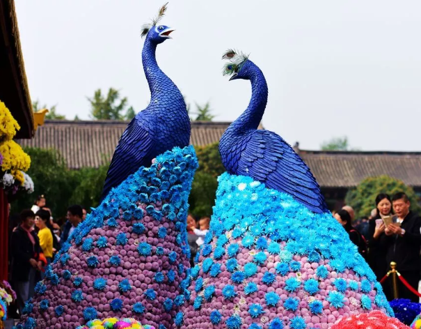 开封菊花展 开封菊花展