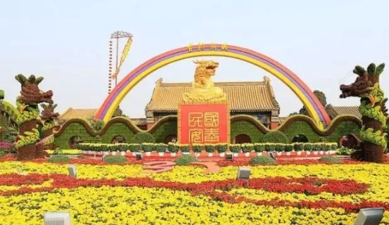 开封菊花展 开封菊花展