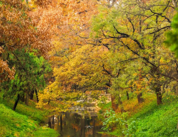 曲阜三孔景区 曲阜三孔景区