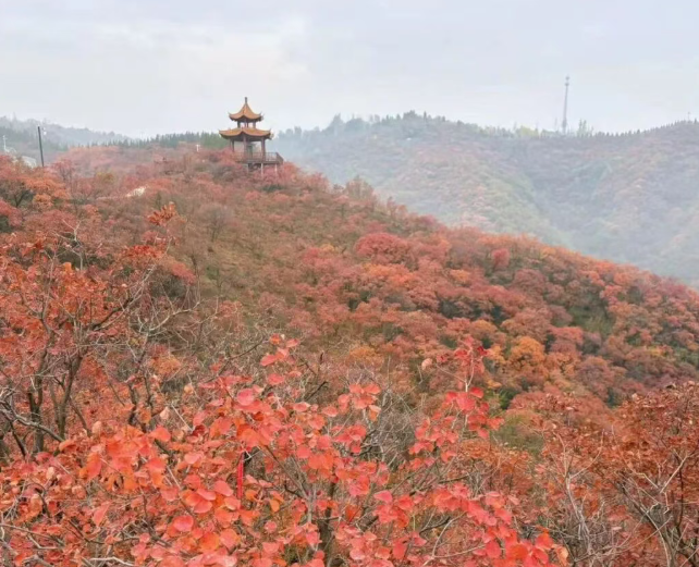 /uploads/image/2025/11/03/0f24c8a813943139e28db05258bf1f4b.png /uploads/image/2025/11/03/0f24c8a813943139e28db05258bf1f4b.png