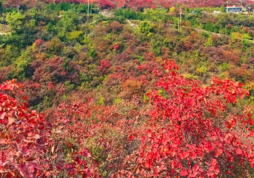 /uploads/image/2025/11/03/d2c6f46f552d6751f81fcfb9daf049c0.png /uploads/image/2025/11/03/d2c6f46f552d6751f81fcfb9daf049c0.png