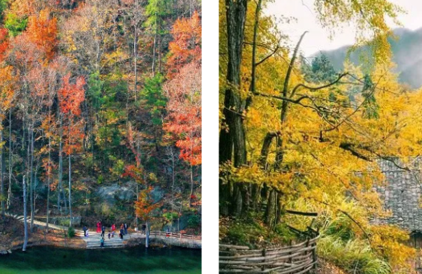 /uploads/image/2025/11/03/ec662402a90fe06872b9e7f660c8c5be.png /uploads/image/2025/11/03/ec662402a90fe06872b9e7f660c8c5be.png