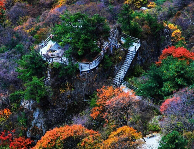 /uploads/image/2025/11/04/debd78afcfea028038014a628b210374.png /uploads/image/2025/11/04/debd78afcfea028038014a628b210374.png