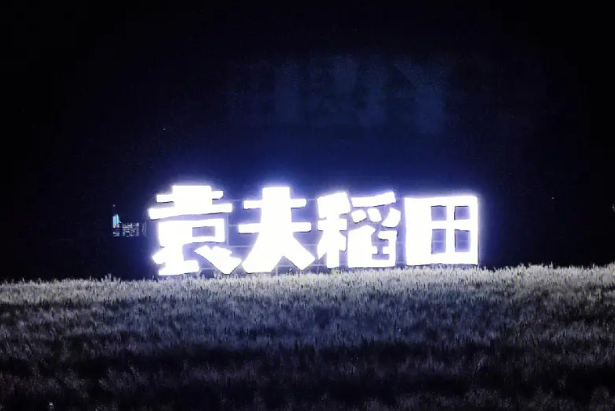 黄冈袁夫稻田 黄冈袁夫稻田