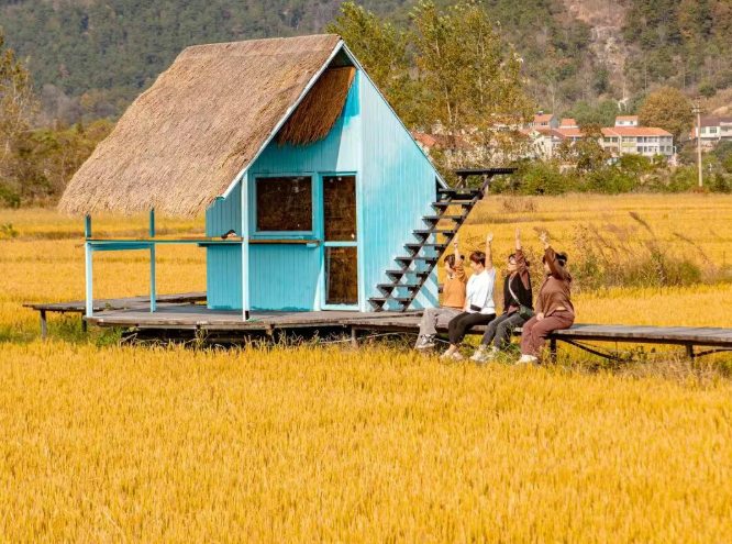 /uploads/image/2025/11/04/d661a5934b3a33f00f79e12c8cddf823.png /uploads/image/2025/11/04/d661a5934b3a33f00f79e12c8cddf823.png