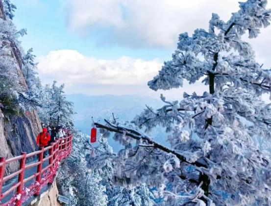 /uploads/image/2025/11/04/c06dcfad5cd53ba6db915d91d1cf2f47.png /uploads/image/2025/11/04/c06dcfad5cd53ba6db915d91d1cf2f47.png