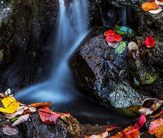 /uploads/image/2025/11/04/b93b180ef69fe917e2d629a84a737f9e.png /uploads/image/2025/11/04/b93b180ef69fe917e2d629a84a737f9e.png