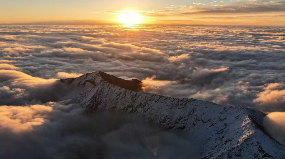 640 (6).png 640 (6).png