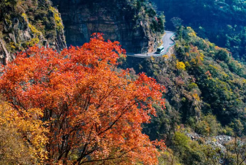 /uploads/image/2025/11/05/42e5afe1e096aa86be84d02f5692fedf.png /uploads/image/2025/11/05/42e5afe1e096aa86be84d02f5692fedf.png