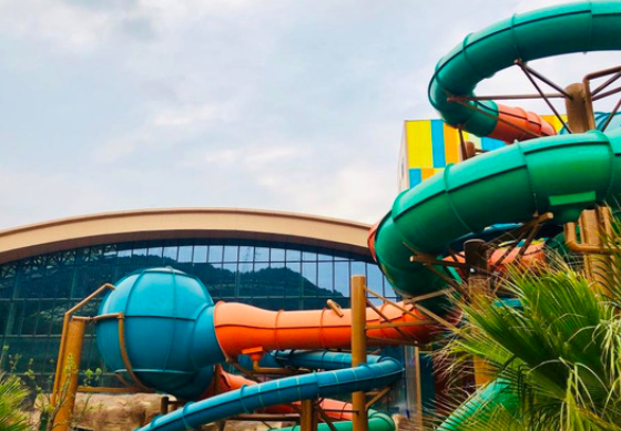 /uploads/image/2025/11/05/4430af7d813fd09dacbbd5cab149506a.png /uploads/image/2025/11/05/4430af7d813fd09dacbbd5cab149506a.png