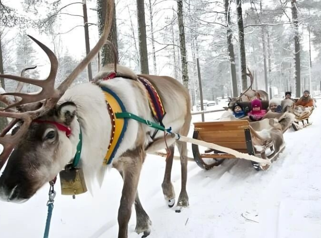 /uploads/image/2025/11/06/06c25e9dc05e5040423bd4caf9fb7cc2.png /uploads/image/2025/11/06/06c25e9dc05e5040423bd4caf9fb7cc2.png