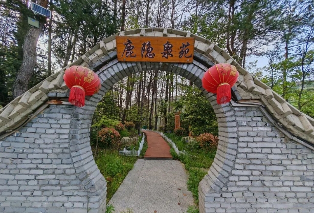 /uploads/image/2025/11/06/5d0535472979914c52baf85be020179a.jpg /uploads/image/2025/11/06/5d0535472979914c52baf85be020179a.jpg